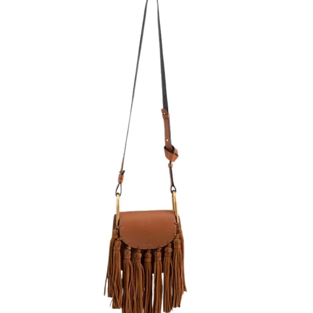 Chloé Hudson Bag Crossbody Fringe Tassel Rare Mini - Picture 3 of 15